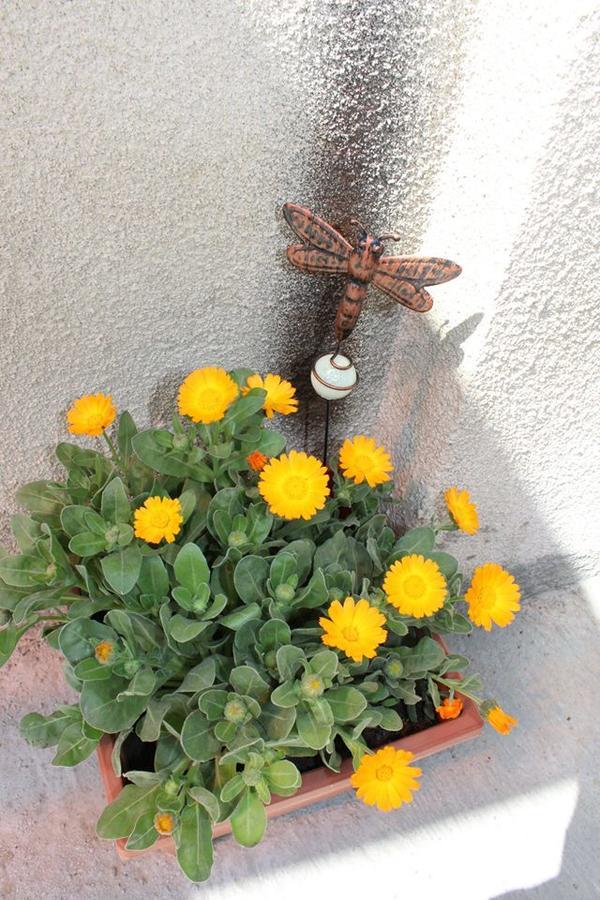 Easy Guest House Tbilisi ภายนอก รูปภาพ